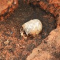RUSSIAN ANCIENT ALIENS: 2000 Year Old Skeleton With Coned Skull Discovered