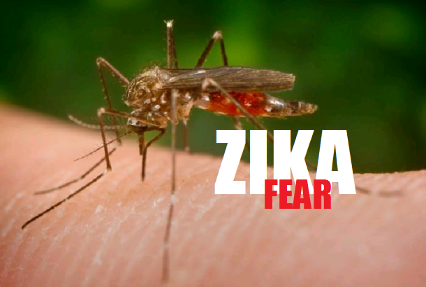 1-zika-virus