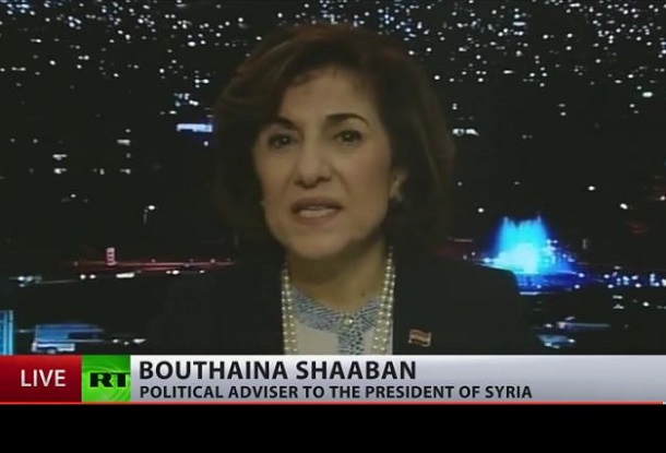 Syrian Adviser on TV: 'Turkey is Primary Cause of Conflict in Syria'
