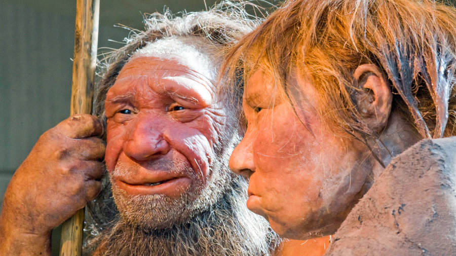 NO SALAD PLEASE: Study Reveals Neanderthal Paleo Diet Was 80% Meat, 20% Veg