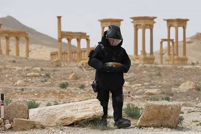 Palmyra: The 