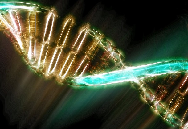Discovery of 'Foreign' DNA in Human Genome Challenges Darwin's Theory - 21st Century Wire