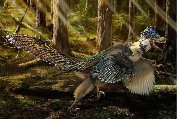 JURASSIC REALITY: Raptor's Ancestor Was 'Winged Dragon' - 21st Century Wire