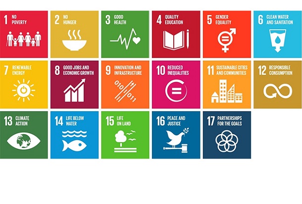 Agenda 2030 Translator: Decoding the UN's New 'Sustainable 