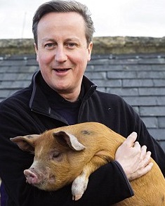 1-Cameron-Pig
