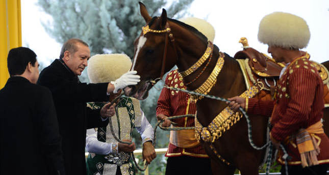 erdogan horse