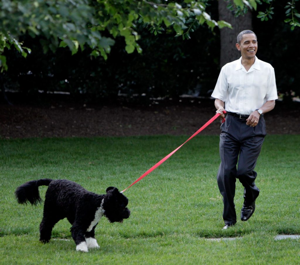 pictures-president-obama-dog-congressional-picnic