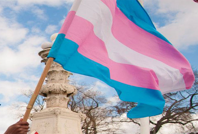 1 transgender-flag