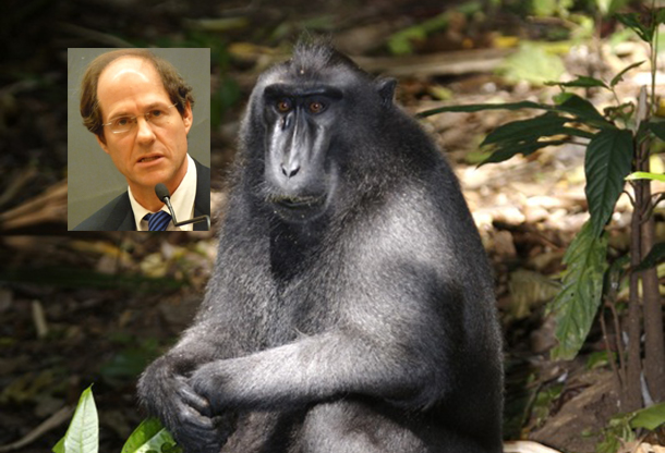 Progressive Lunacy: PETA Claims Indonesian Monkey Owns 'Selfie