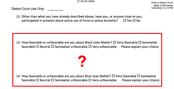 Screenshot of juror questionnaire