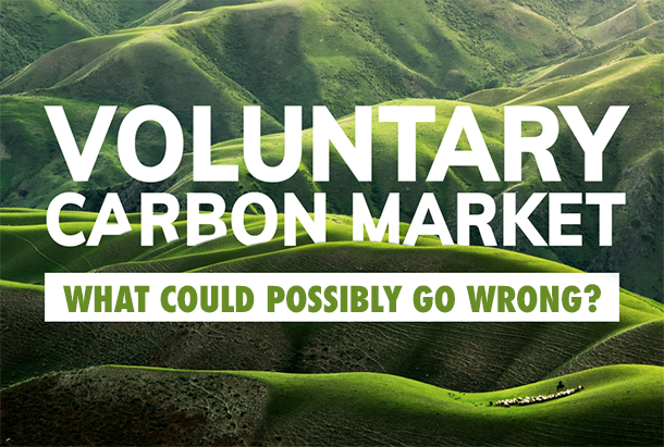 Carbon Credits Cost More Than You Think – Carbon Credit Series: Part One