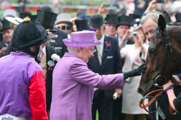 Queen ascot horse | the queen is dead. long live the king! | news