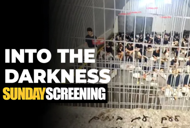 SUNDAY SCREENING – Into the Darkness (2026)